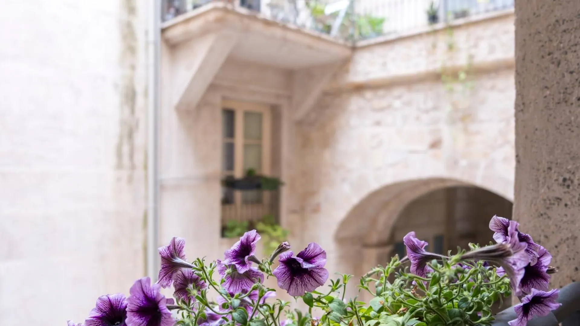 Tomasi Apartment Palermo